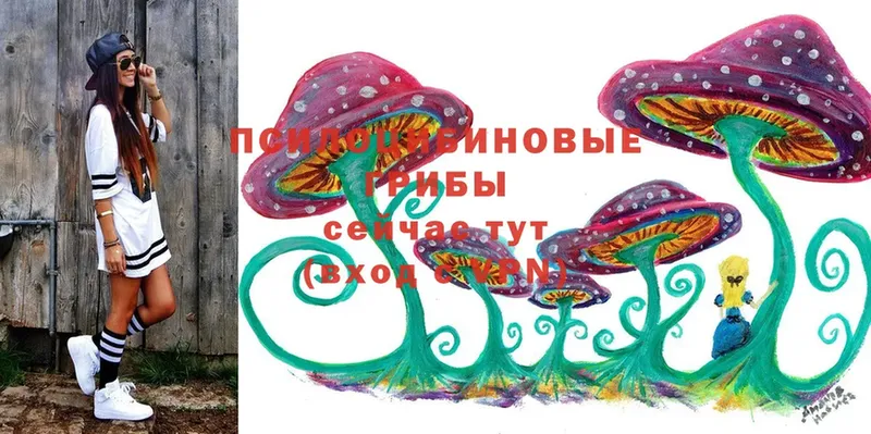 Галлюциногенные грибы Magic Shrooms  мега tor  Коломна 